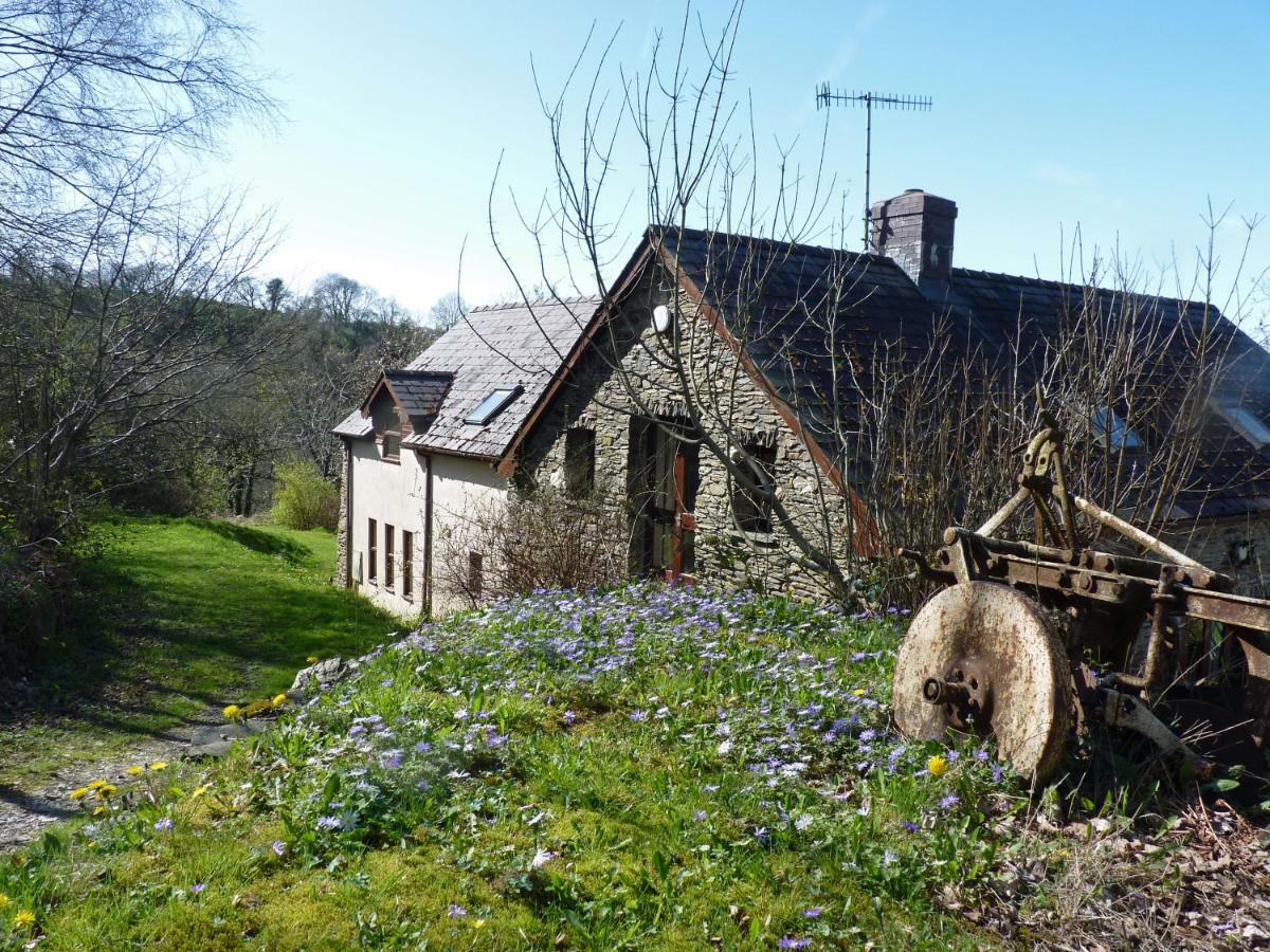 Ceridwen Holiday Homes Llandysul Luaran gambar
